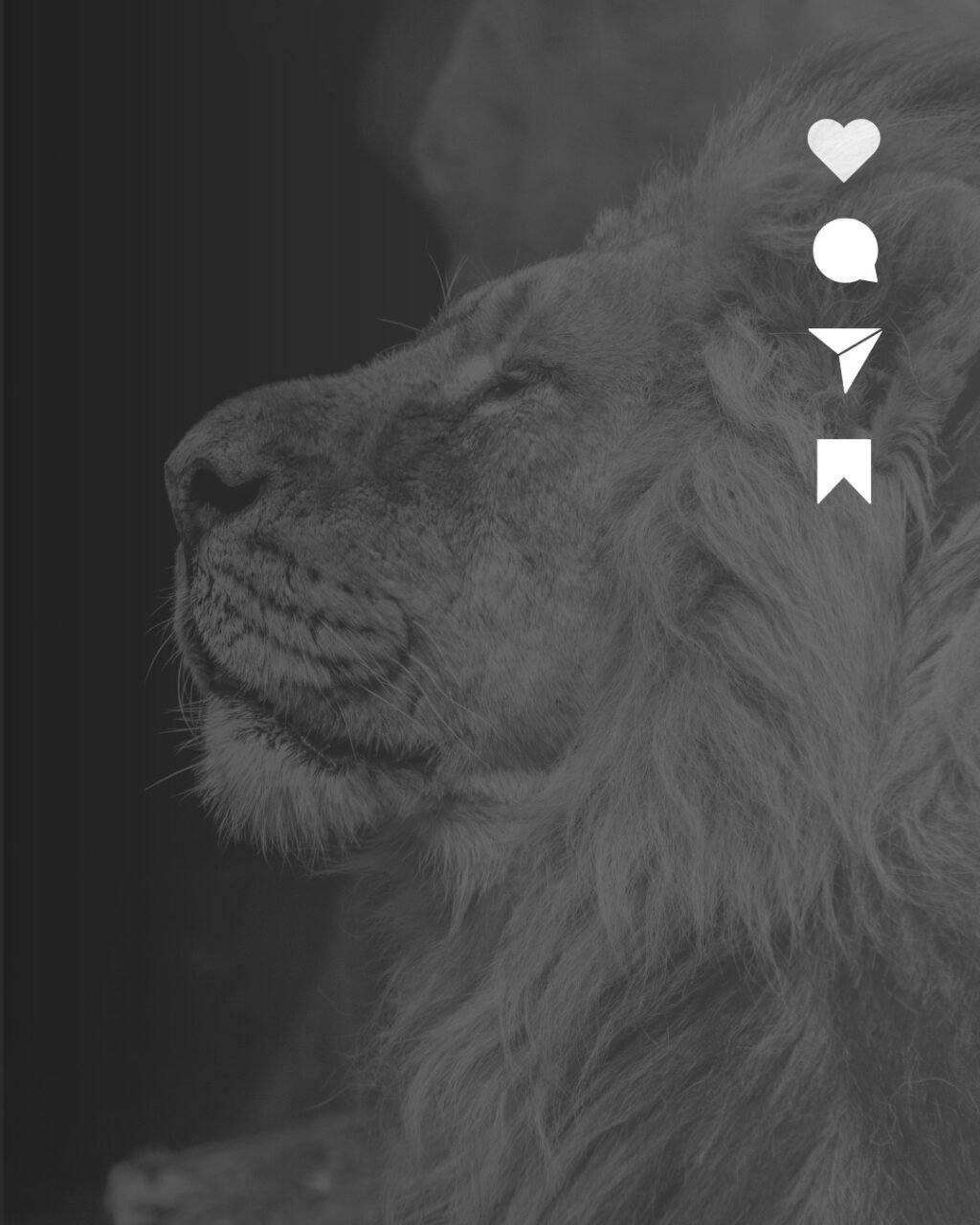 Instagram post from agenciacasalion. This post is in position 1.