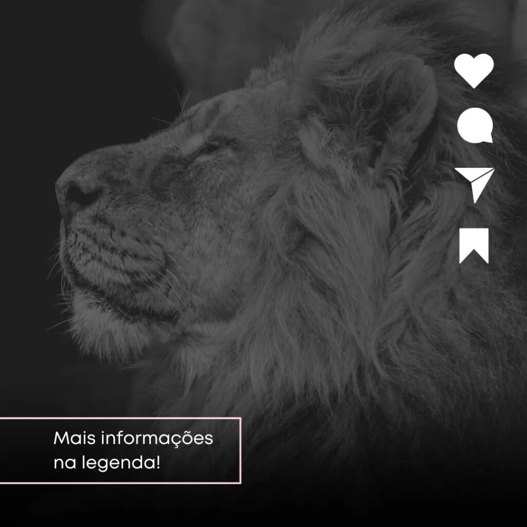 Instagram post from agenciacasalion. This post is in position 3.